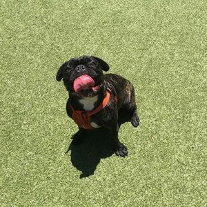 Meet your Posher, Curtis